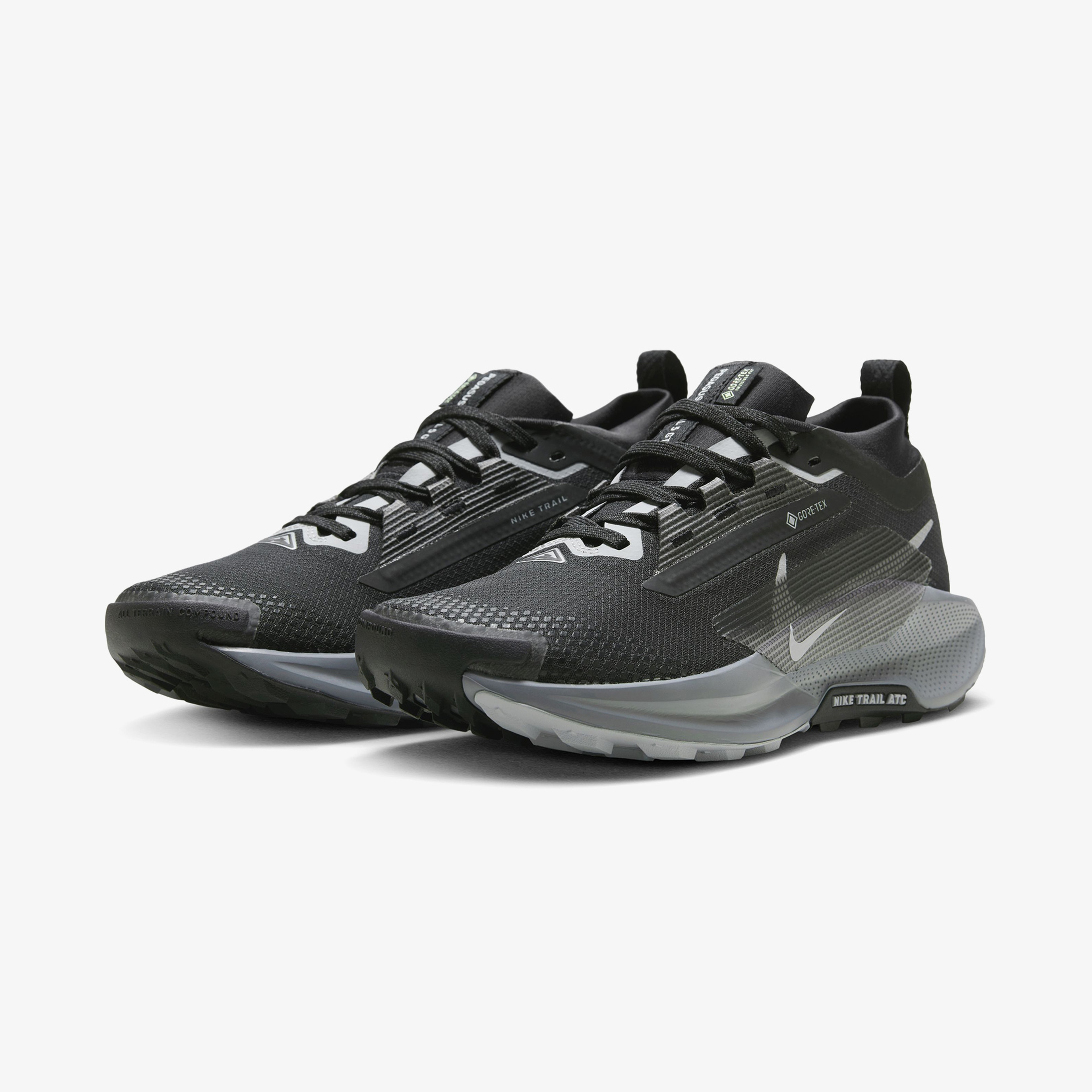 Nike Pegasus Trail 5 Gore-Tex Kadın Siyah Koşu Ayakkabısı