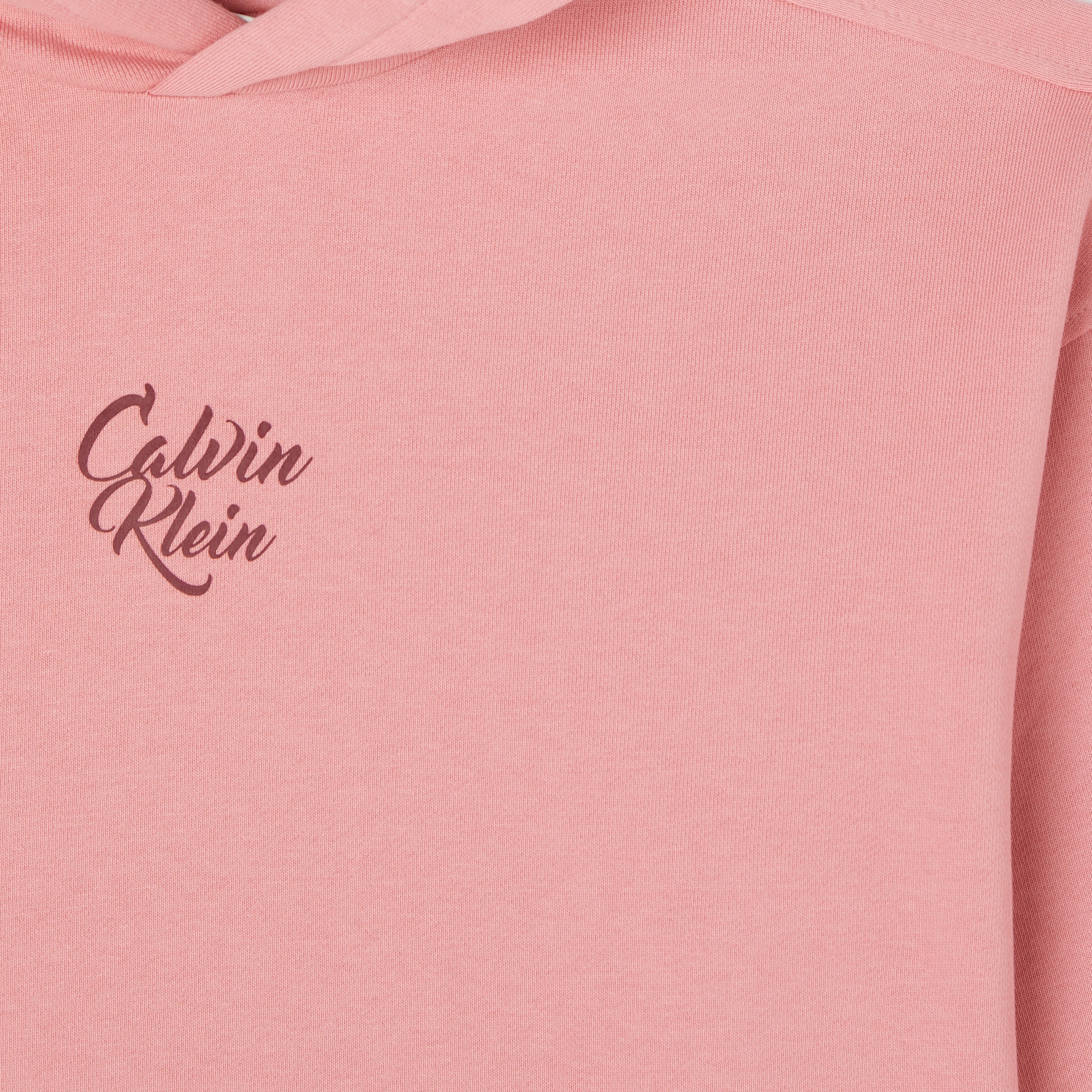 Calvin Klein Script Logo Graphic Terry Çocuk Pembe Sweatshirt