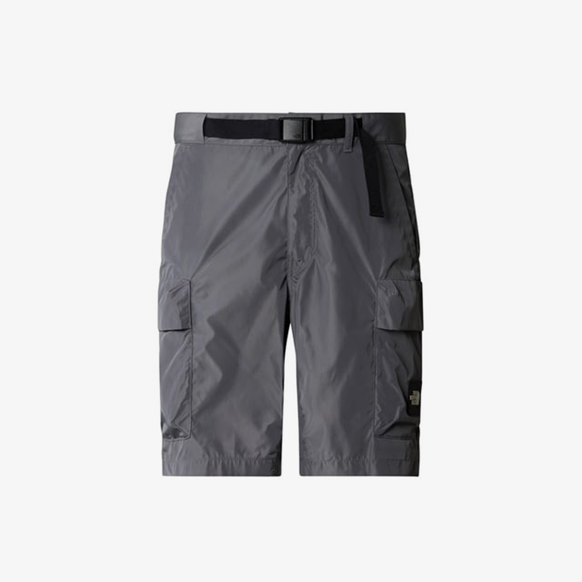 The North Face Nse Cargo Erkek Gri Şort