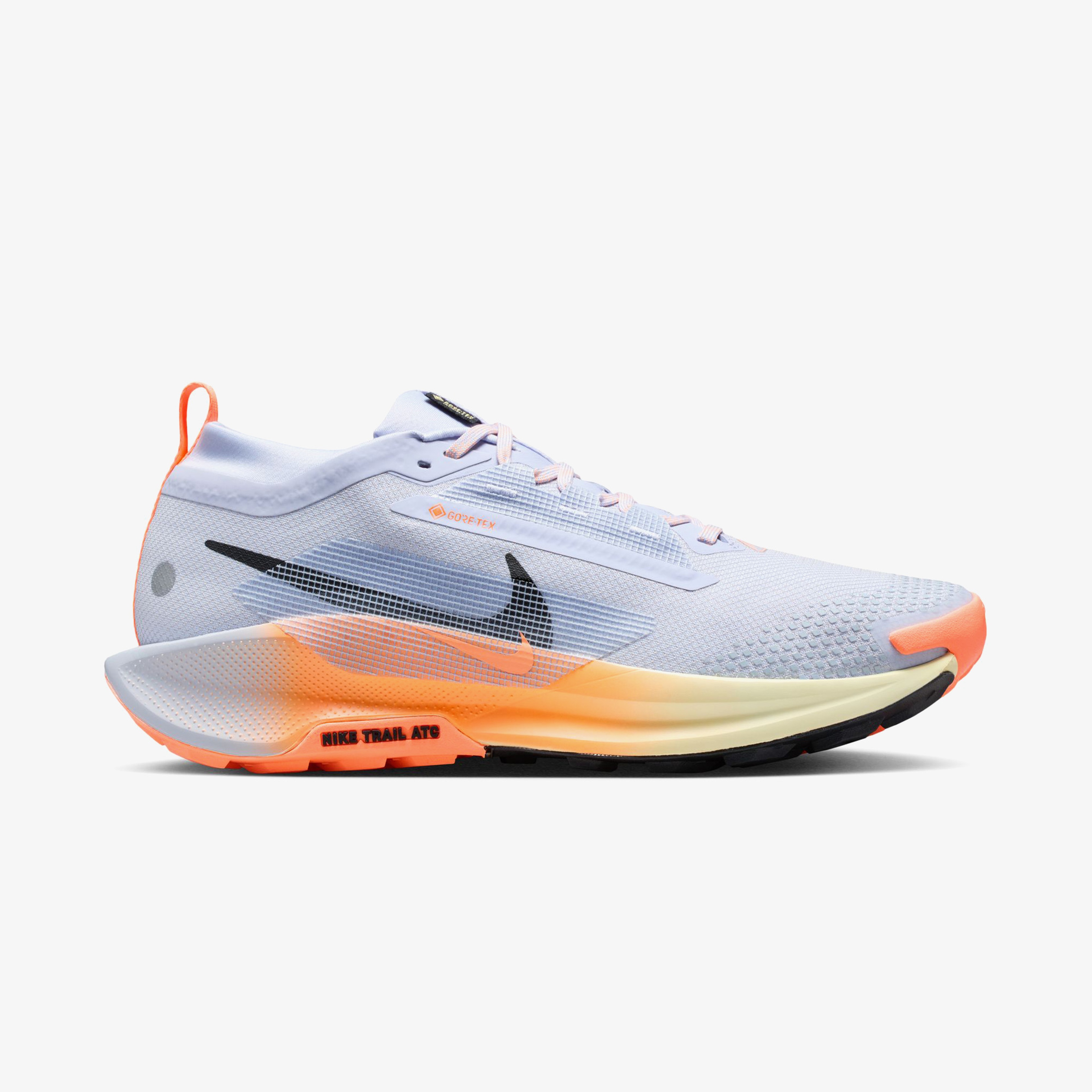 Nike Pegasus Trail 5 Gore-Tex Erkek Mavi Koşu Ayakkabısı