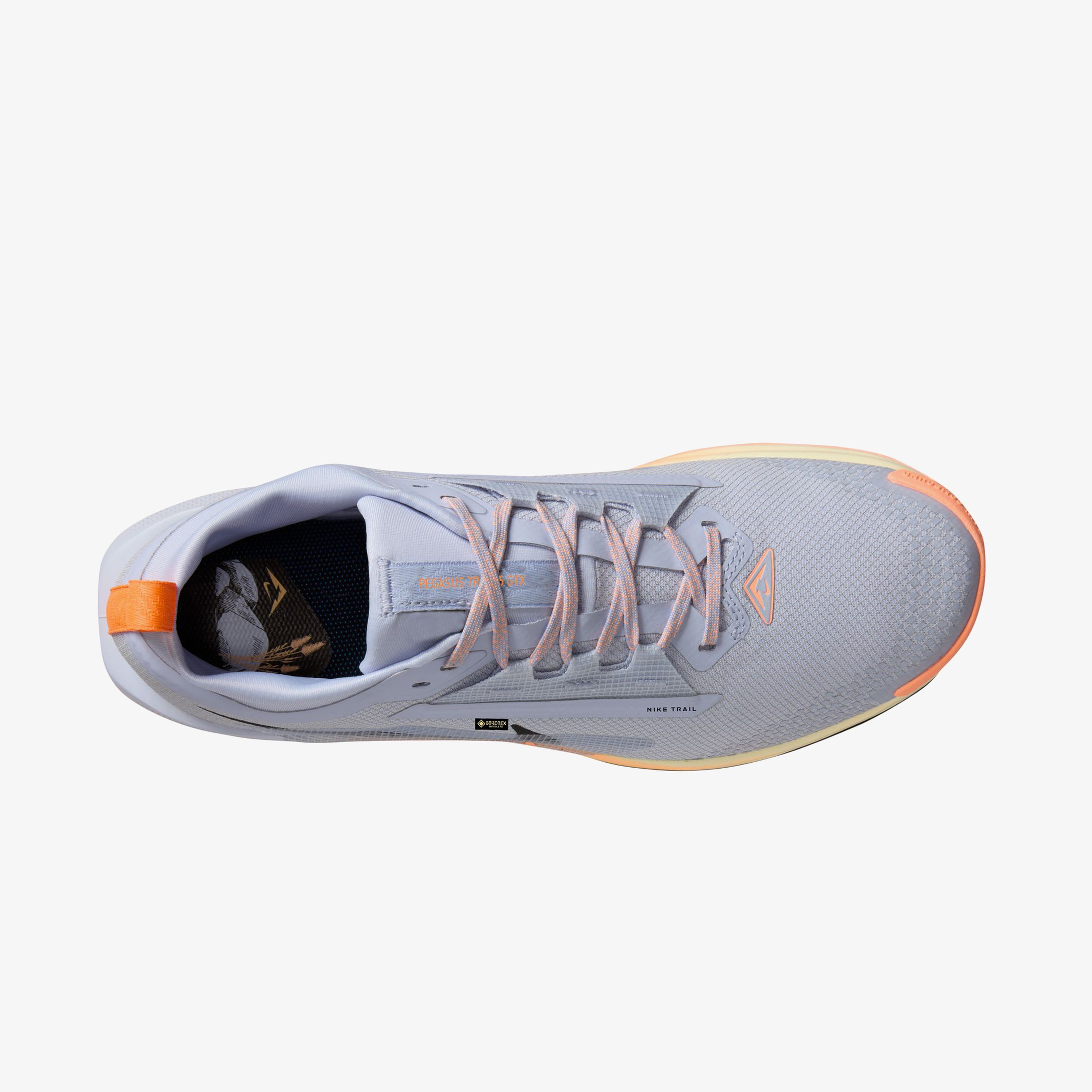 Nike Pegasus Trail 5 Gore-Tex Erkek Mavi Koşu Ayakkabısı