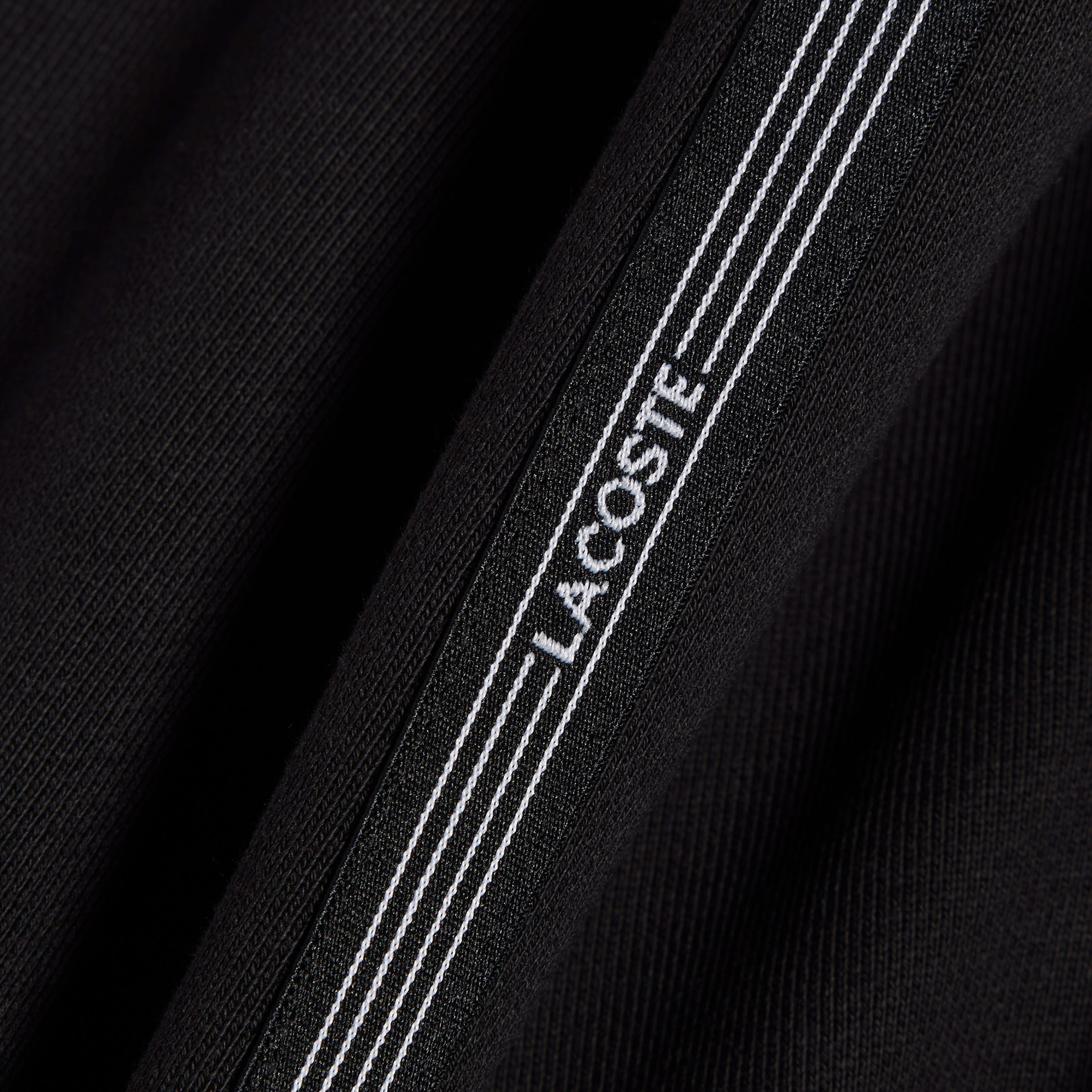 Lacoste Erkek Regular Fit Siyah Şort