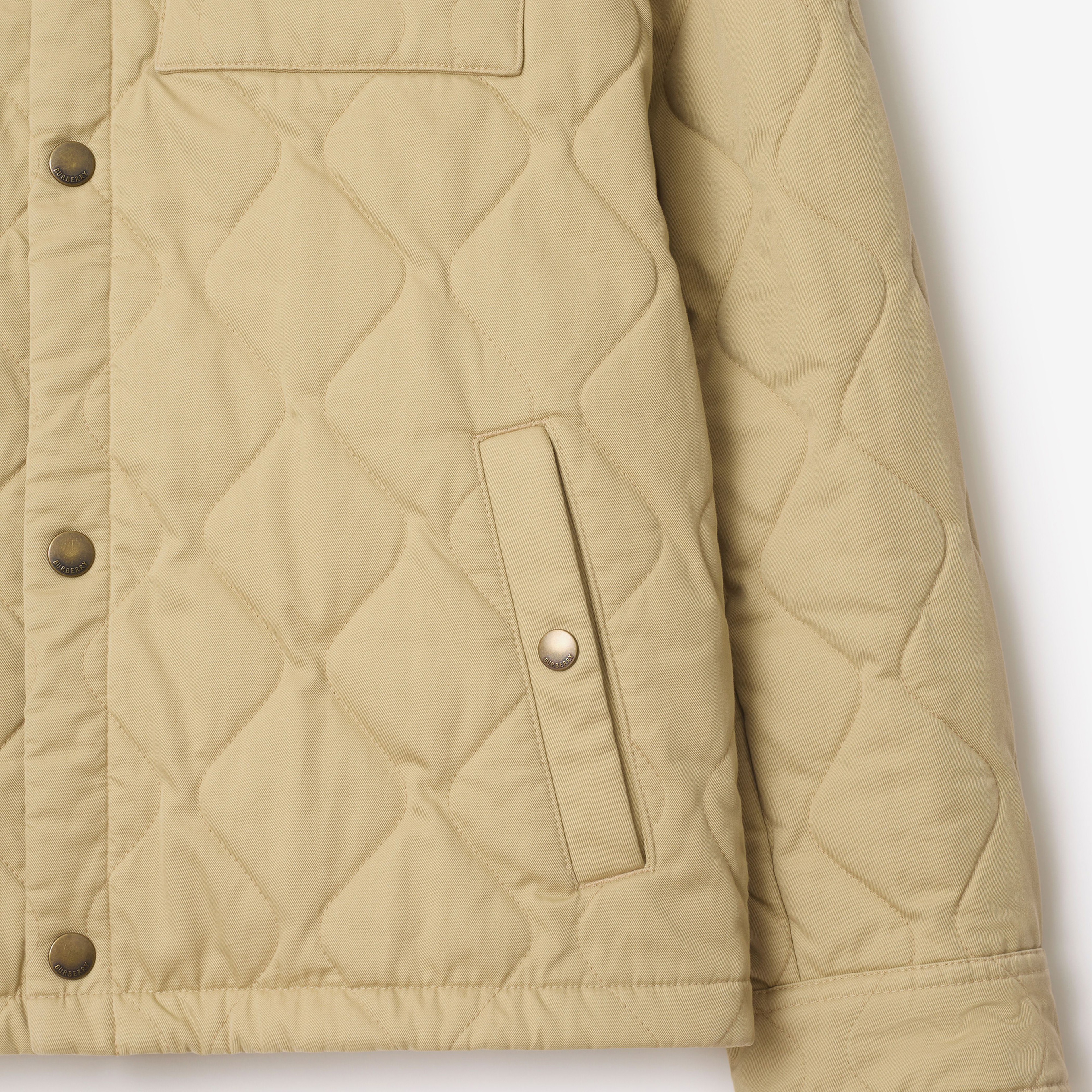 Burberry Erkek Kahverengi Mont