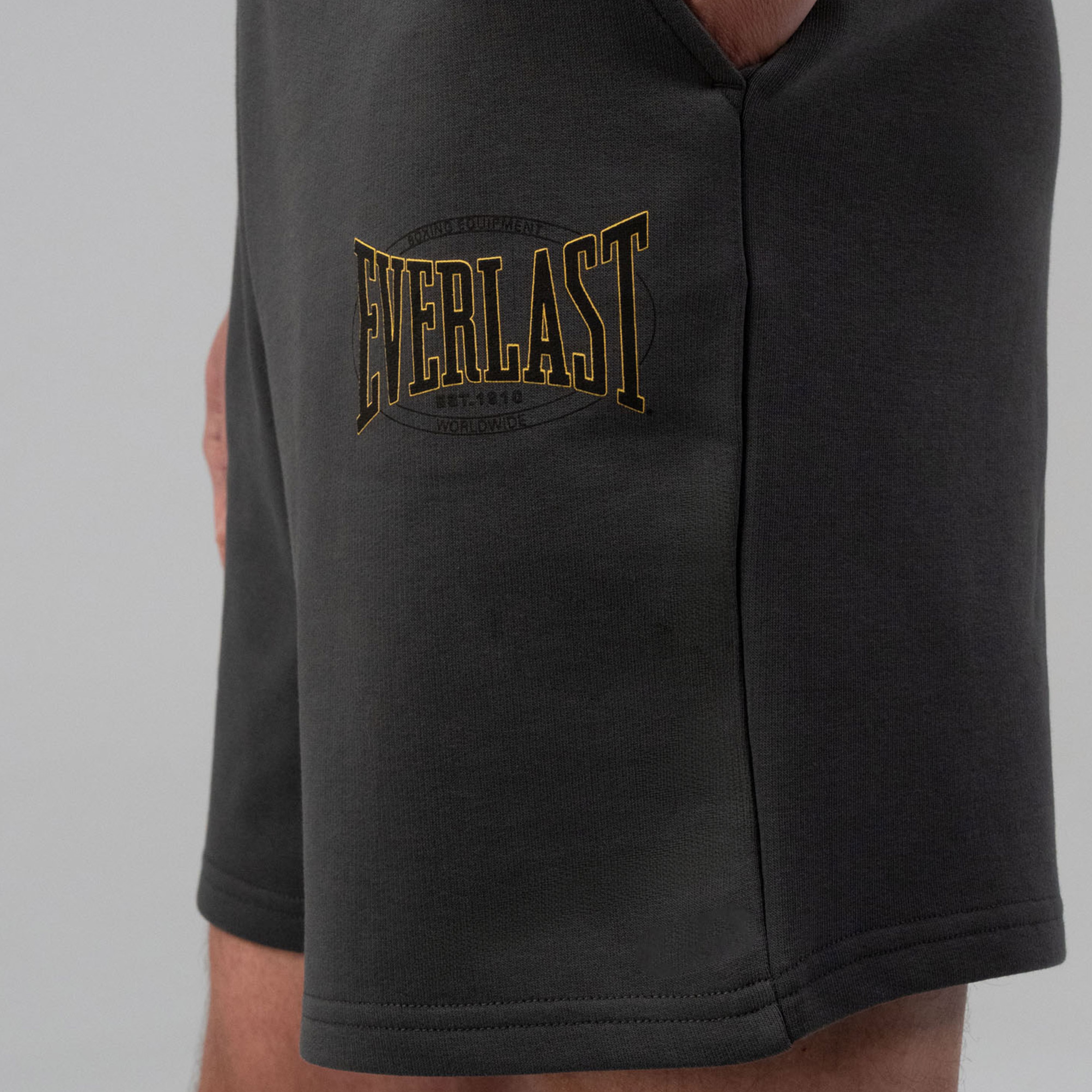 Everlast Authentic Boxing 2.0 Oversize Gri Erkek Şort