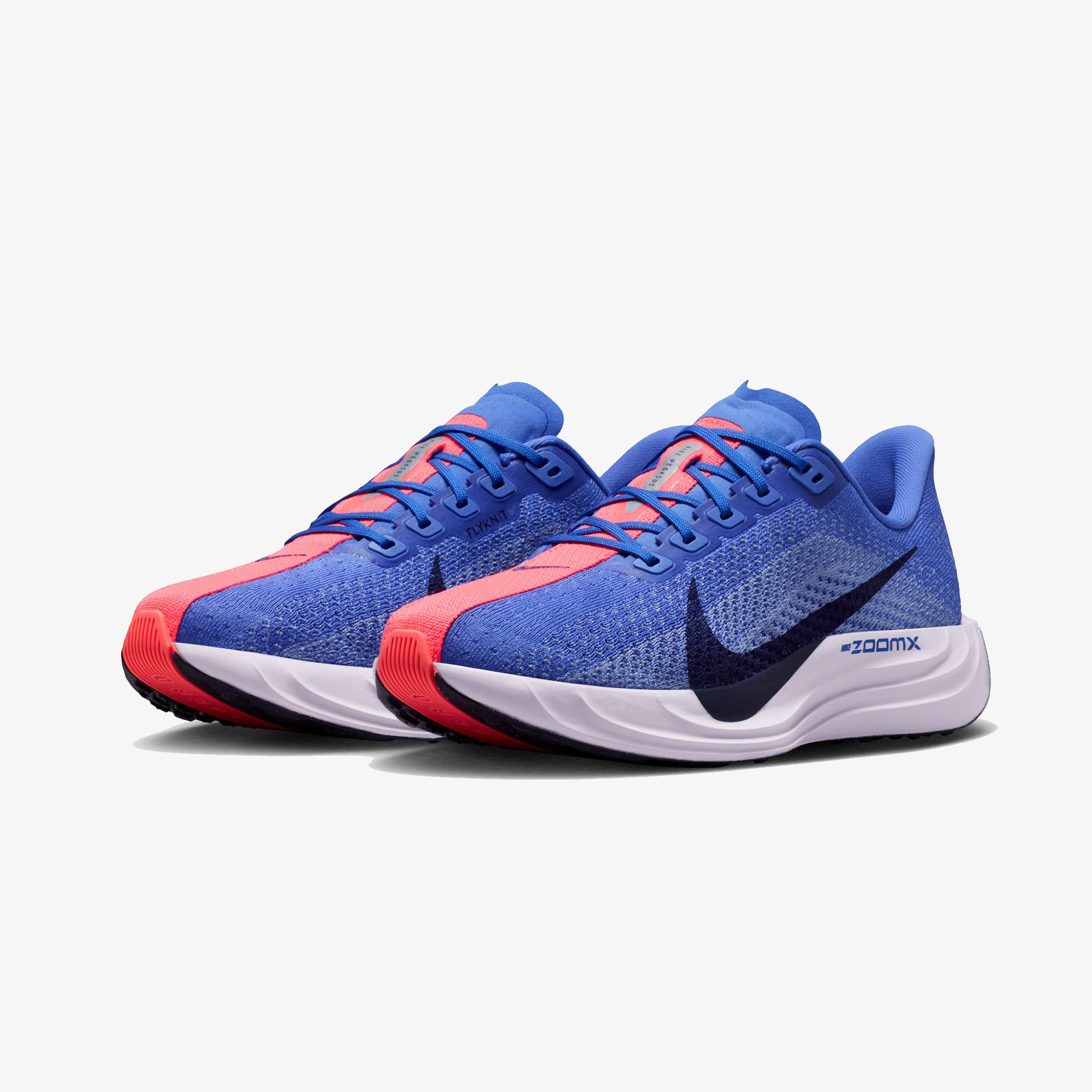 Nike Pegasus Plus Kadın Mor Koşu Ayakkabısı