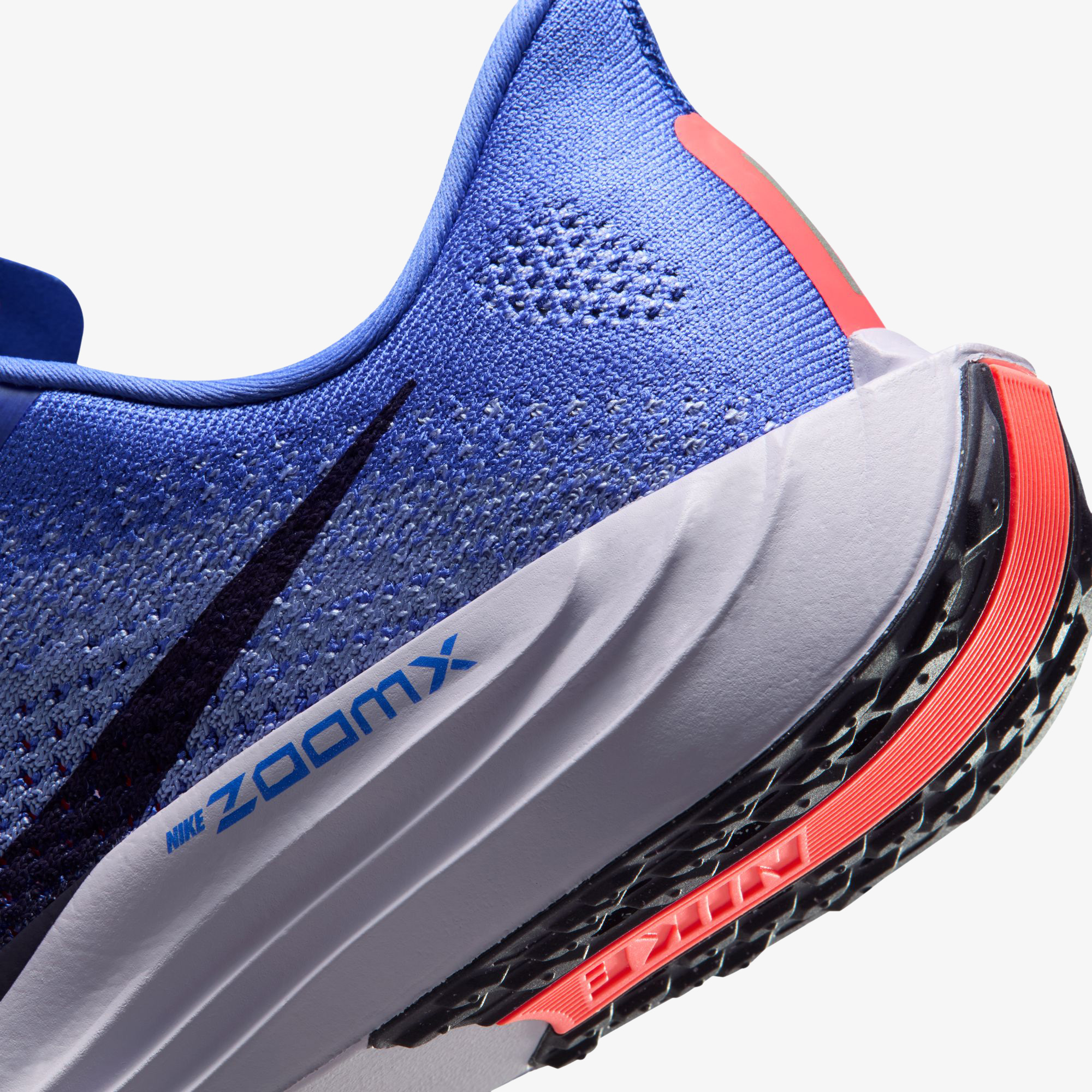 Nike Pegasus Plus Kadın Mor Koşu Ayakkabısı