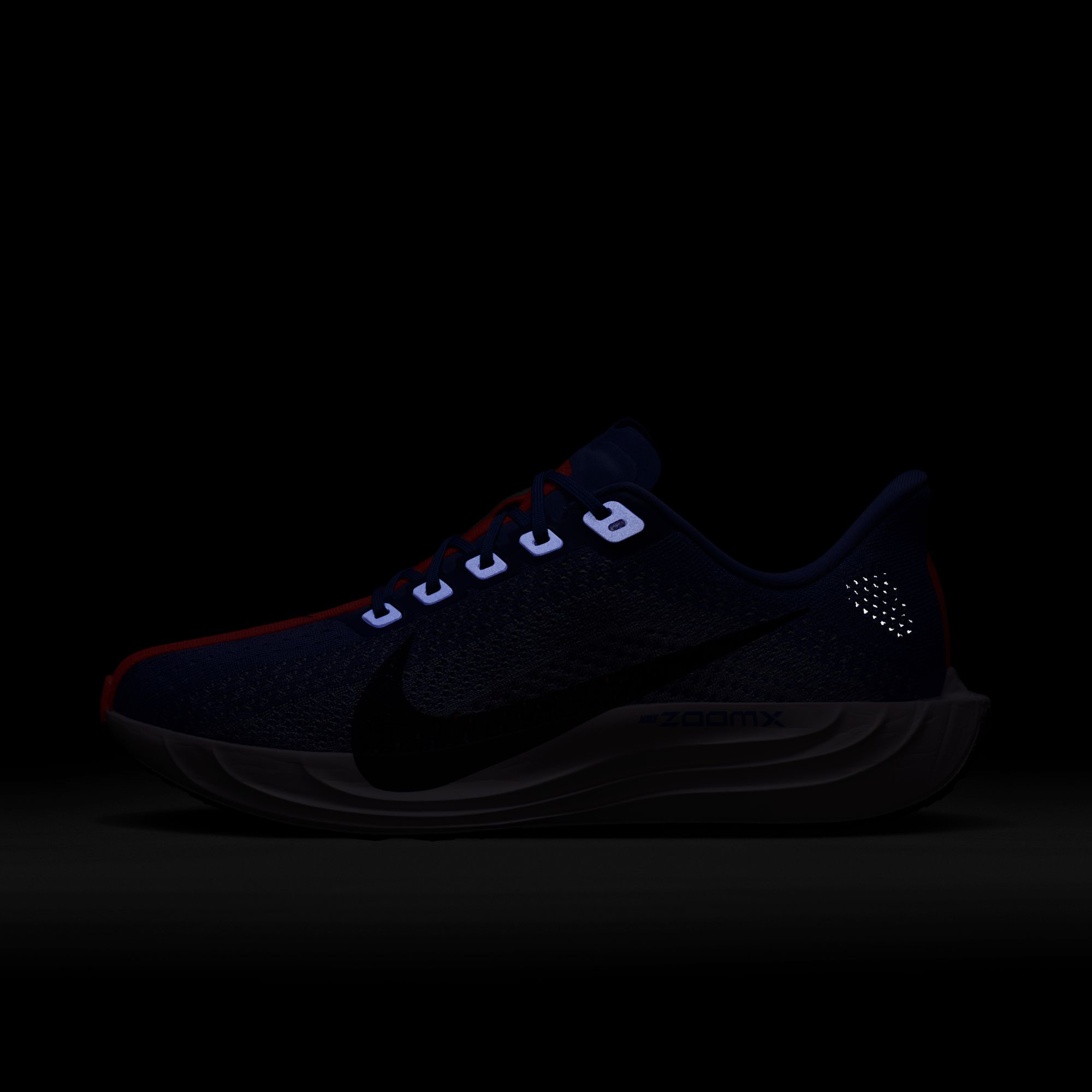 Nike Pegasus Plus Kadın Mor Koşu Ayakkabısı