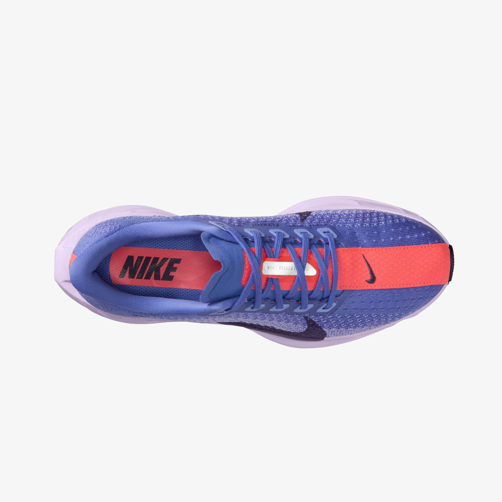 Nike Pegasus Plus Kadın Mor Koşu Ayakkabısı