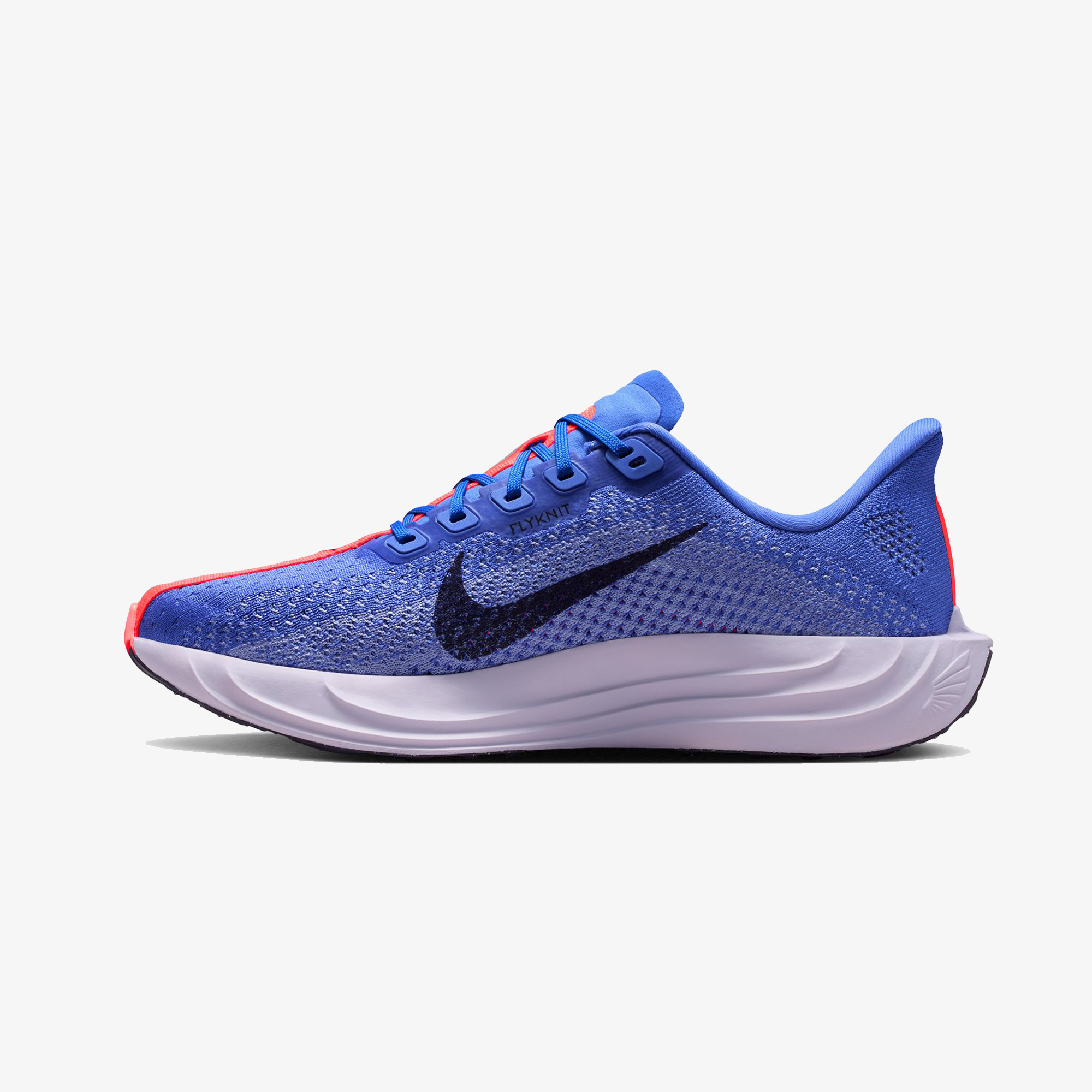 Nike Pegasus Plus Kadın Mor Koşu Ayakkabısı