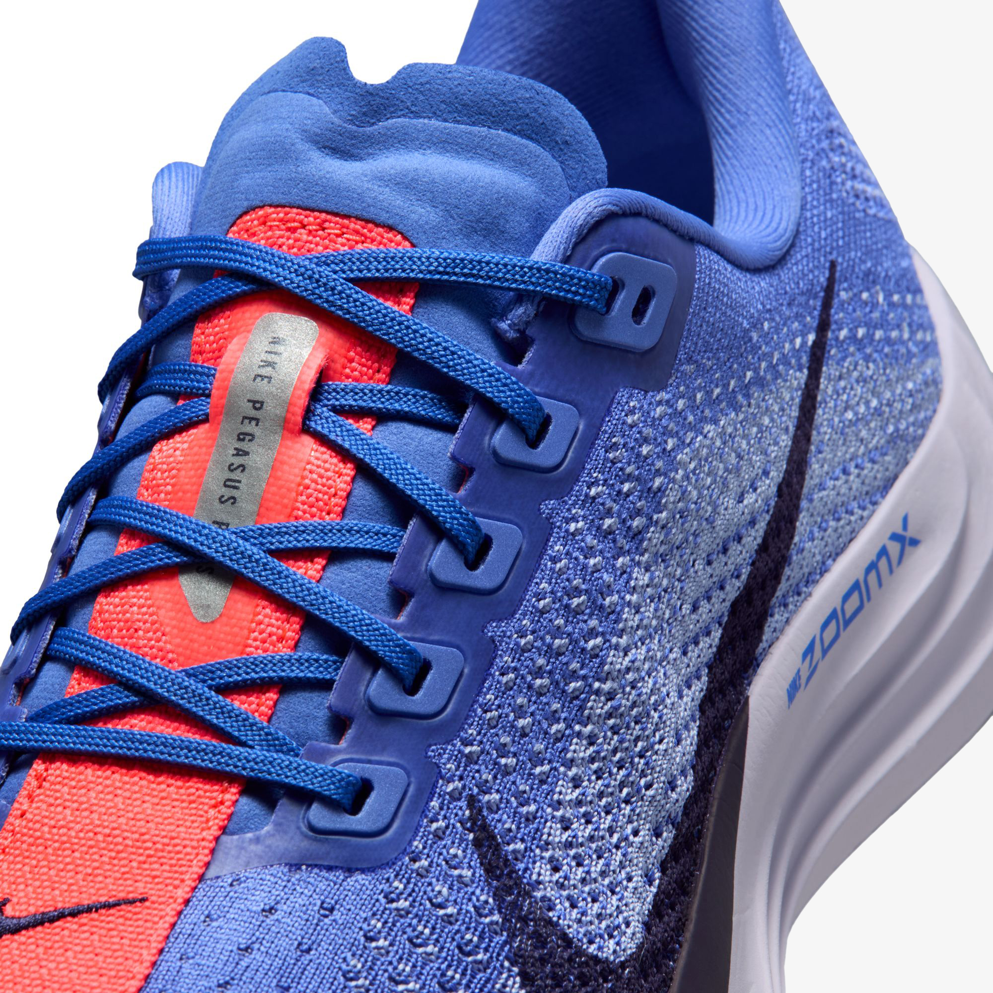 Nike Pegasus Plus Kadın Mor Koşu Ayakkabısı