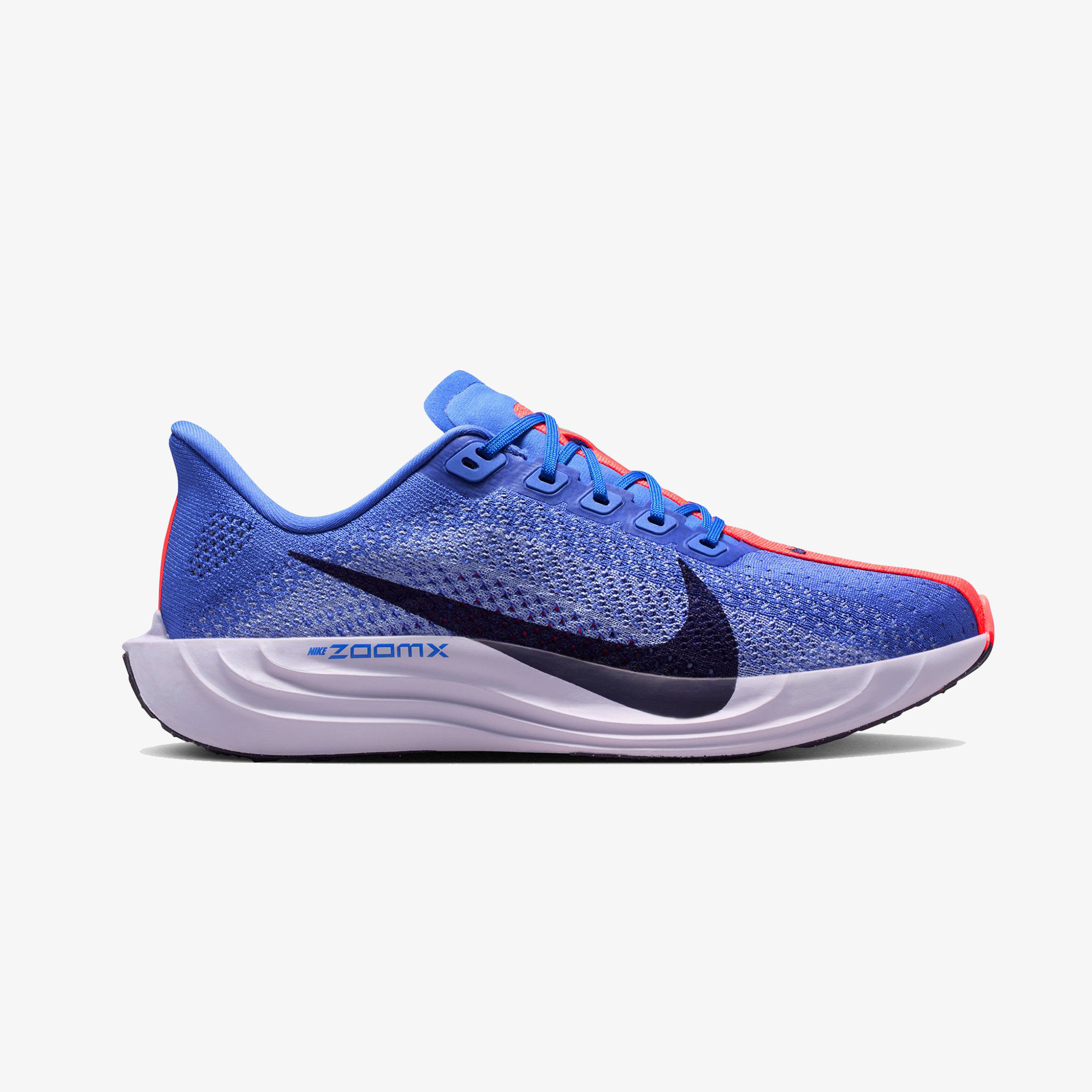 Nike Pegasus Plus Kadın Mor Koşu Ayakkabısı