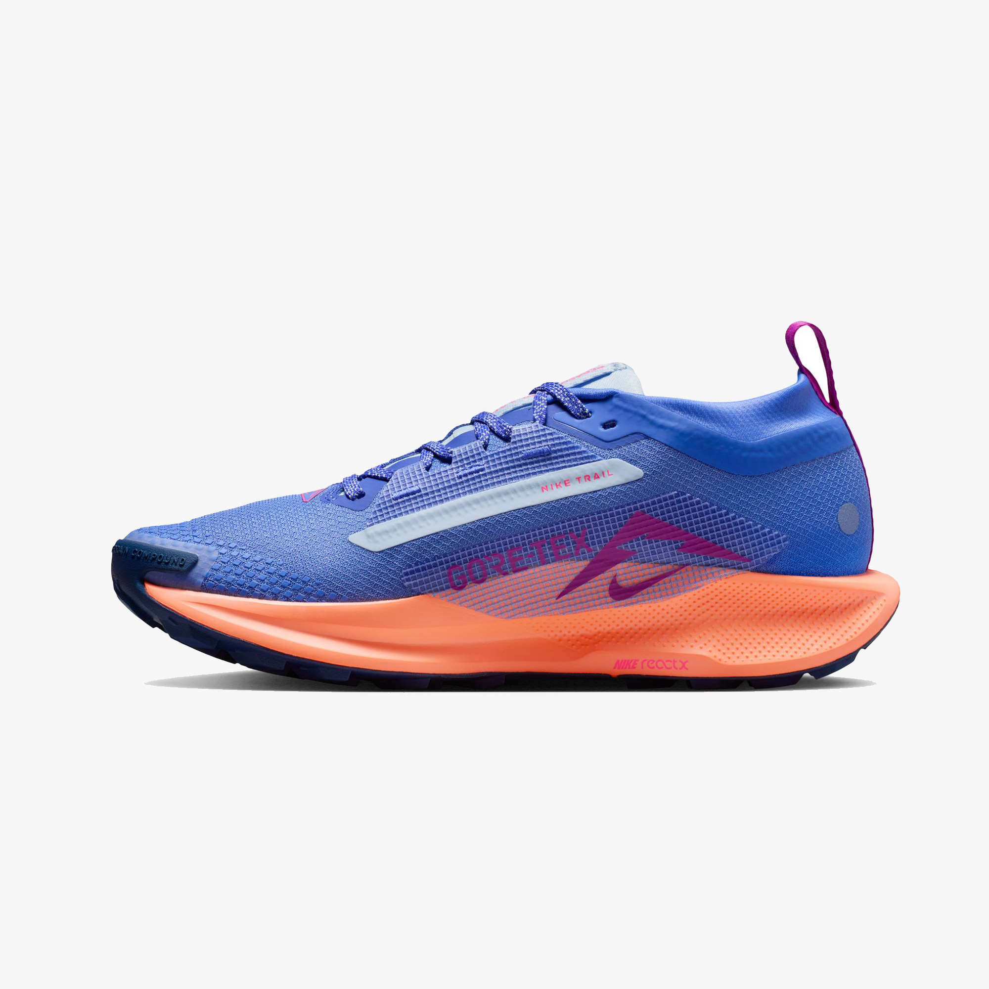 Nike Pegasus Trail 5 GORE-TEX Kadın Mor Koşu Ayakkabısı