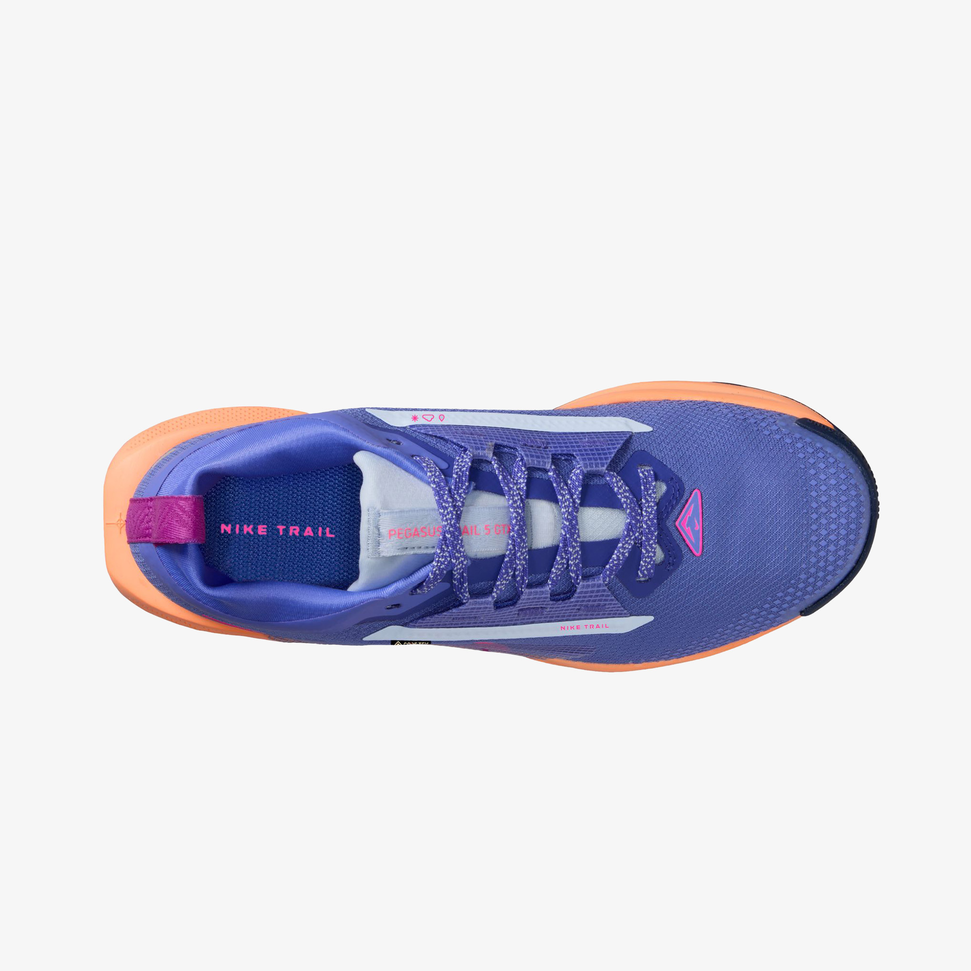 Nike Pegasus Trail 5 GORE-TEX Kadın Mor Koşu Ayakkabısı