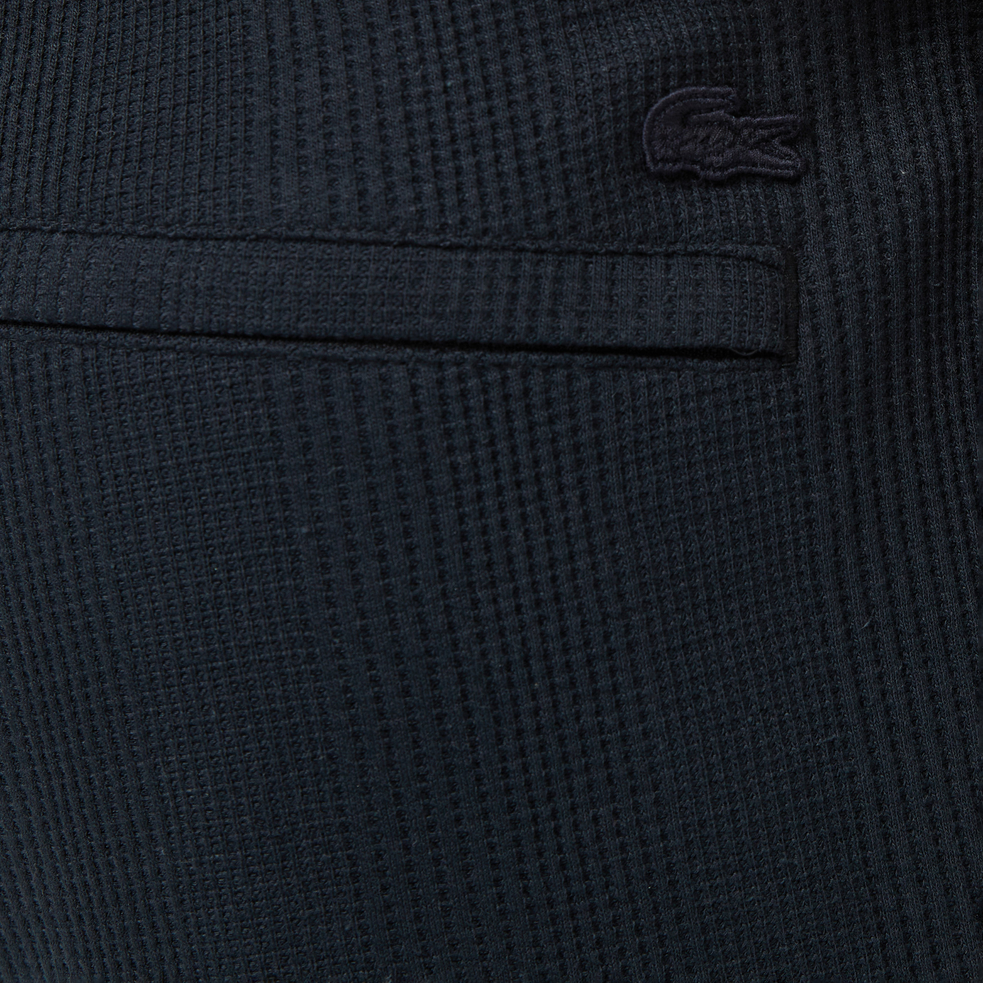 Lacoste Relaxed Fit Erkek Gri Şort