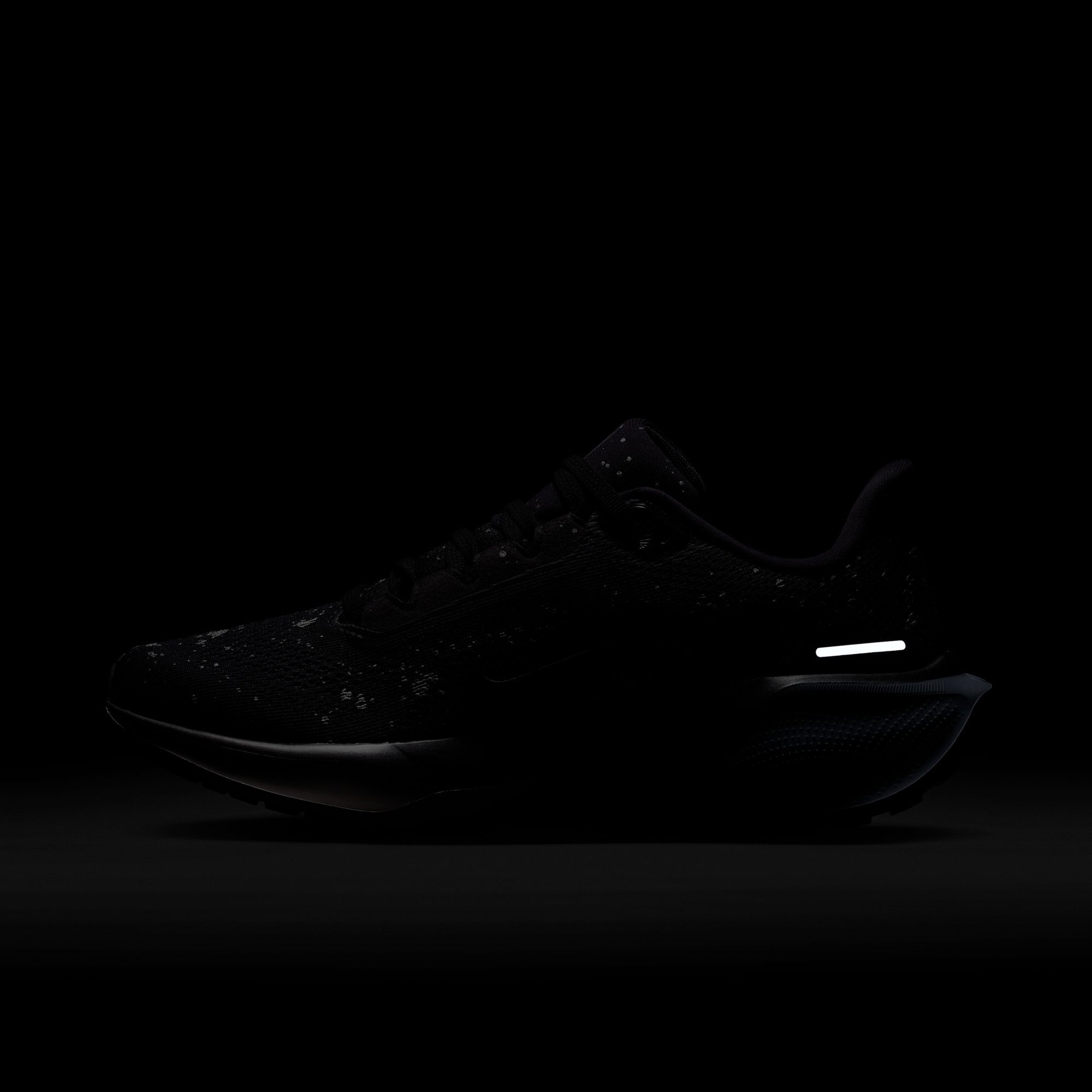 Nike Pegasus 41 SE Kadın Siyah Koşu Ayakkabısı