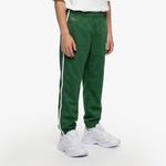 Lacoste Sportsuit Colorblock Track Çocuk Yeşil Eşofman Altı
