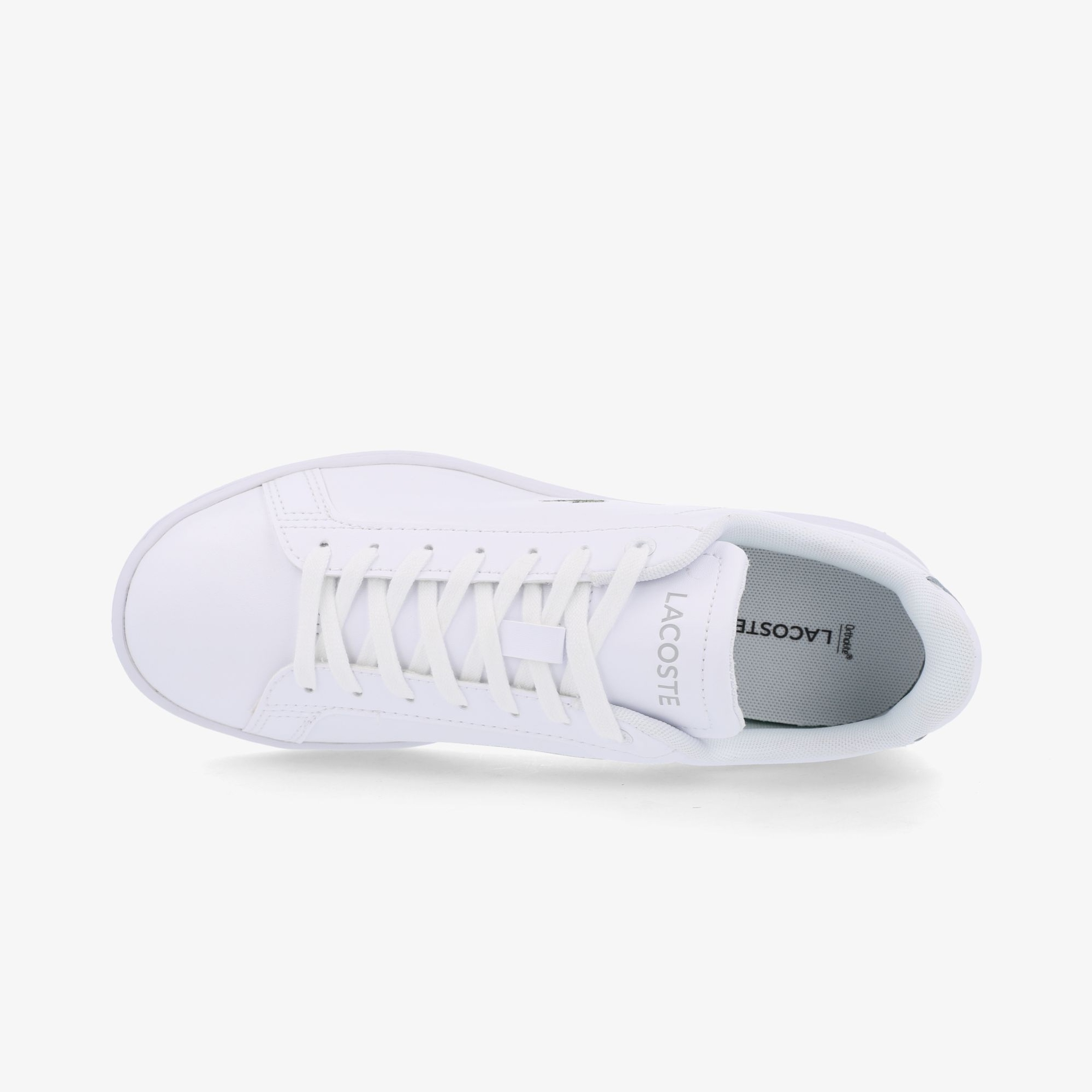 Lacoste Kadın Sneaker