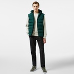 Lacoste Erkek Yeşil Mont