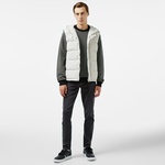 Lacoste Erkek Gri Mont