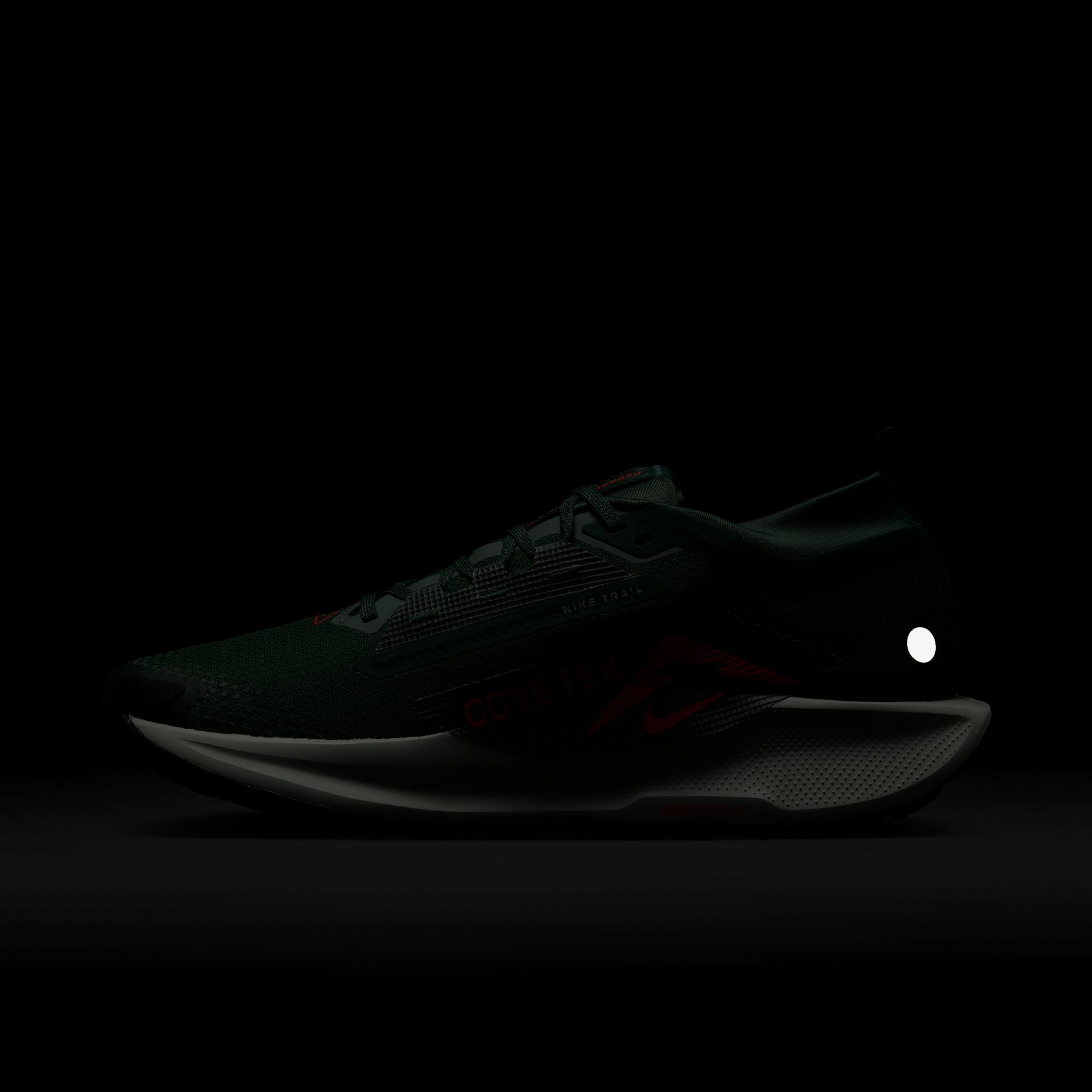 Nike Pegasus Trail 5 Gore-Tex Erkek Yeşil Koşu Ayakkabısı