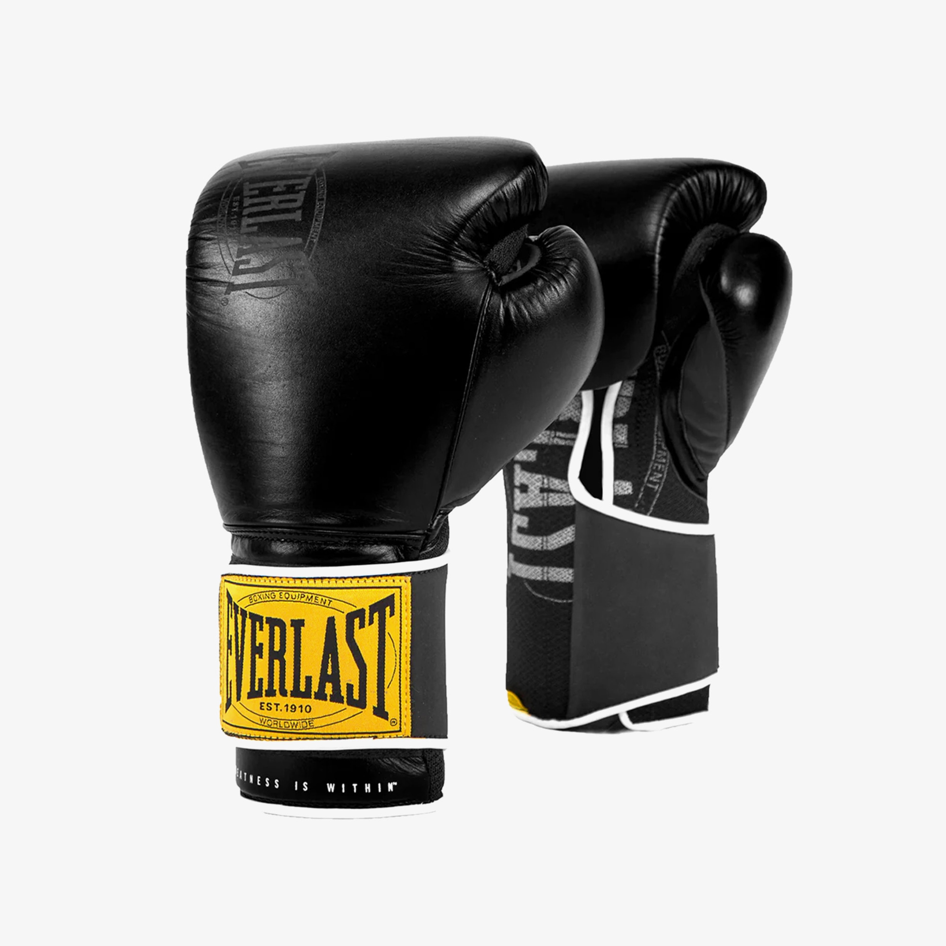 Everlast 1910 CLS TRN 14OZ Unisex Siyah Boks Eldiveni