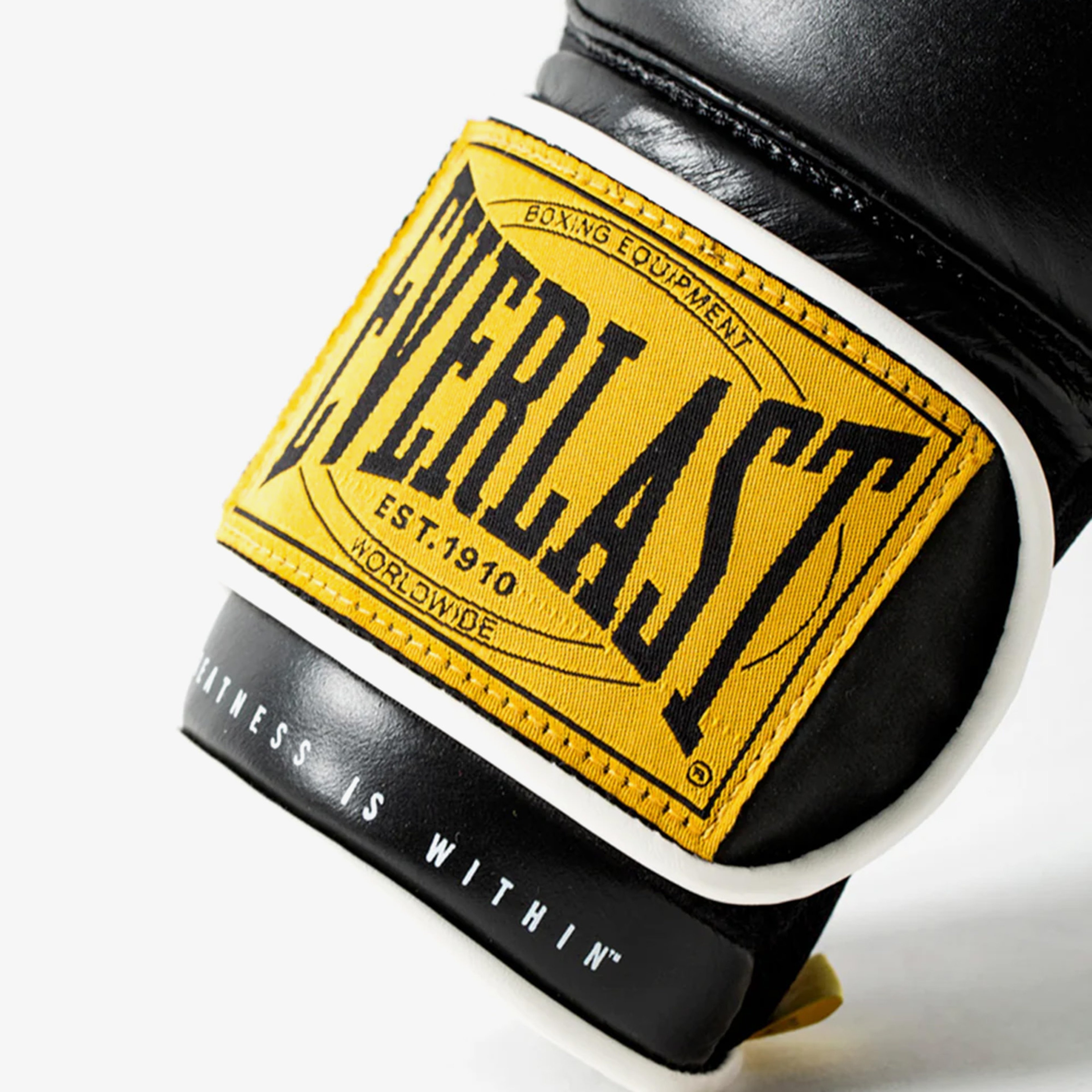 Everlast 1910 CLS TRN 14OZ Unisex Siyah Boks Eldiveni